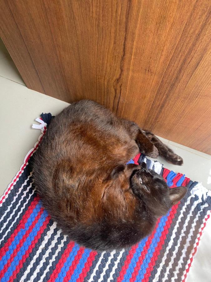 Magic Hostel Ko Phi Phi Zewnętrze zdjęcie